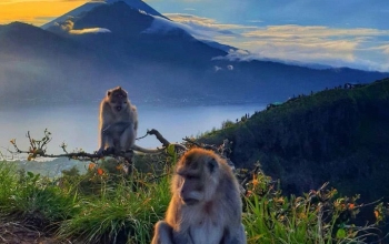Bali Trekking Mount Batur Sunrise 45